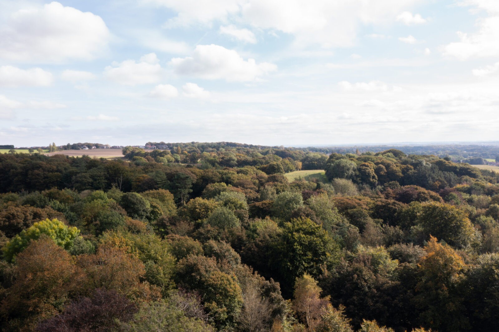 Lady-Pilkington-Views